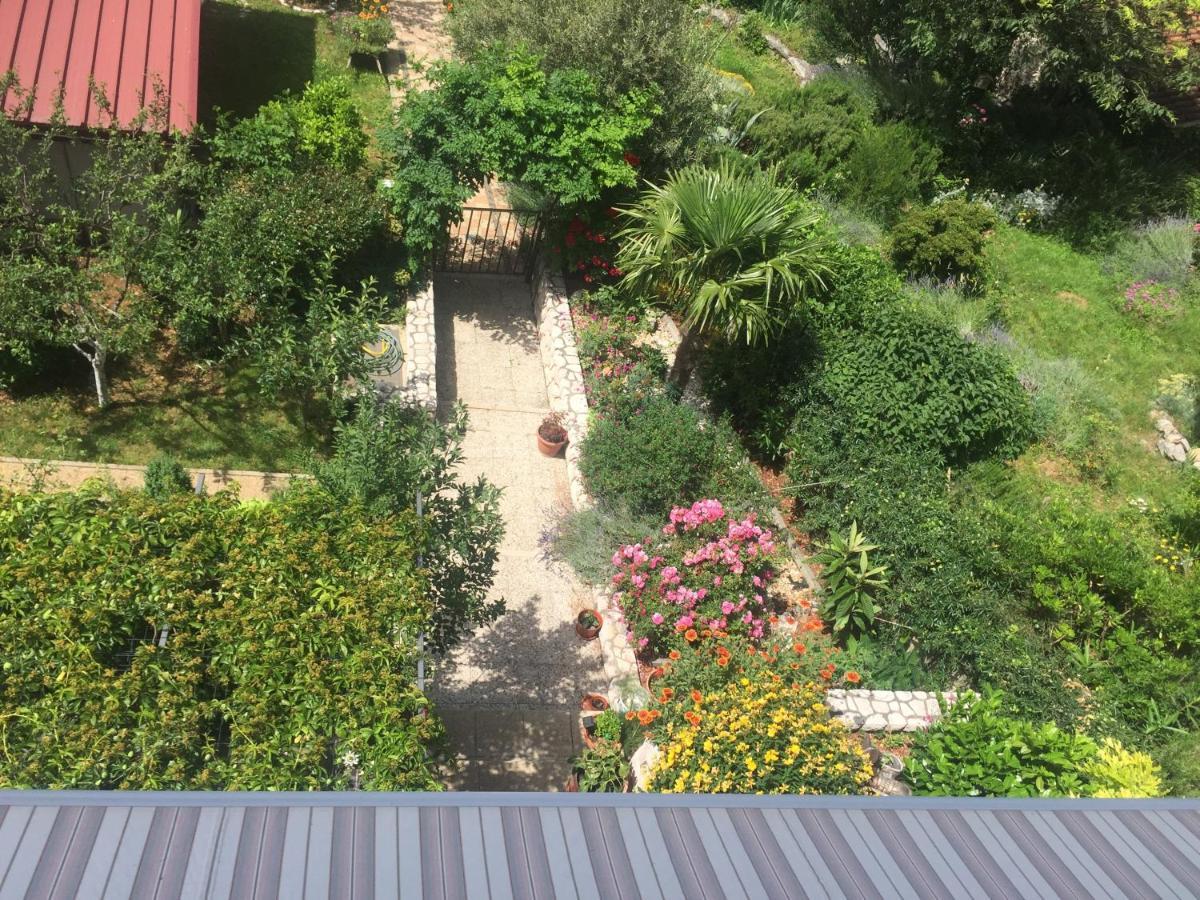 קריקווניצה Apartment Jelena מראה חיצוני תמונה